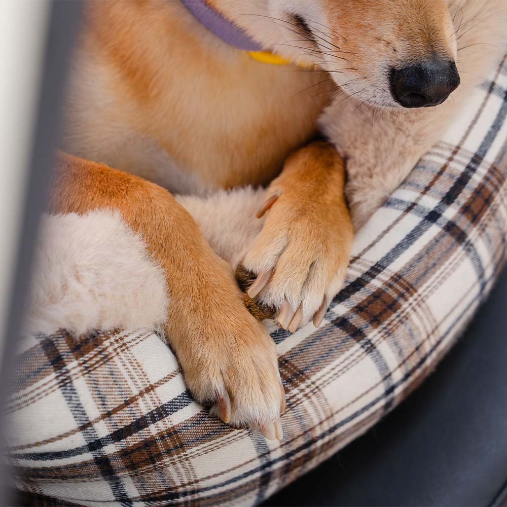 Luxury Pet Car Seat Cover Plush Lining Waterproof Travel Bed Adjustable Safety Straps Anti-Slip Bottom Plaid — Image 8