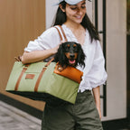 Funny Fuzzy Pet Travel Carrier Faux Leather Plush Pillow Green Dog Car Seat — Image 13