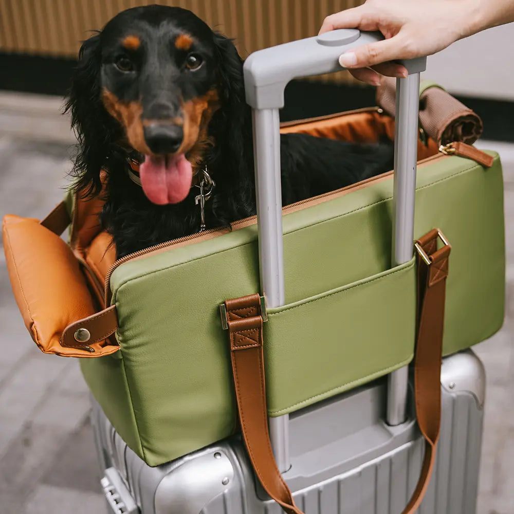 Funny Fuzzy Pet Travel Carrier Faux Leather Plush Pillow Green Dog Car Seat — Image 14