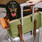 Funny Fuzzy Pet Travel Carrier Faux Leather Plush Pillow Green Dog Car Seat — Image 14