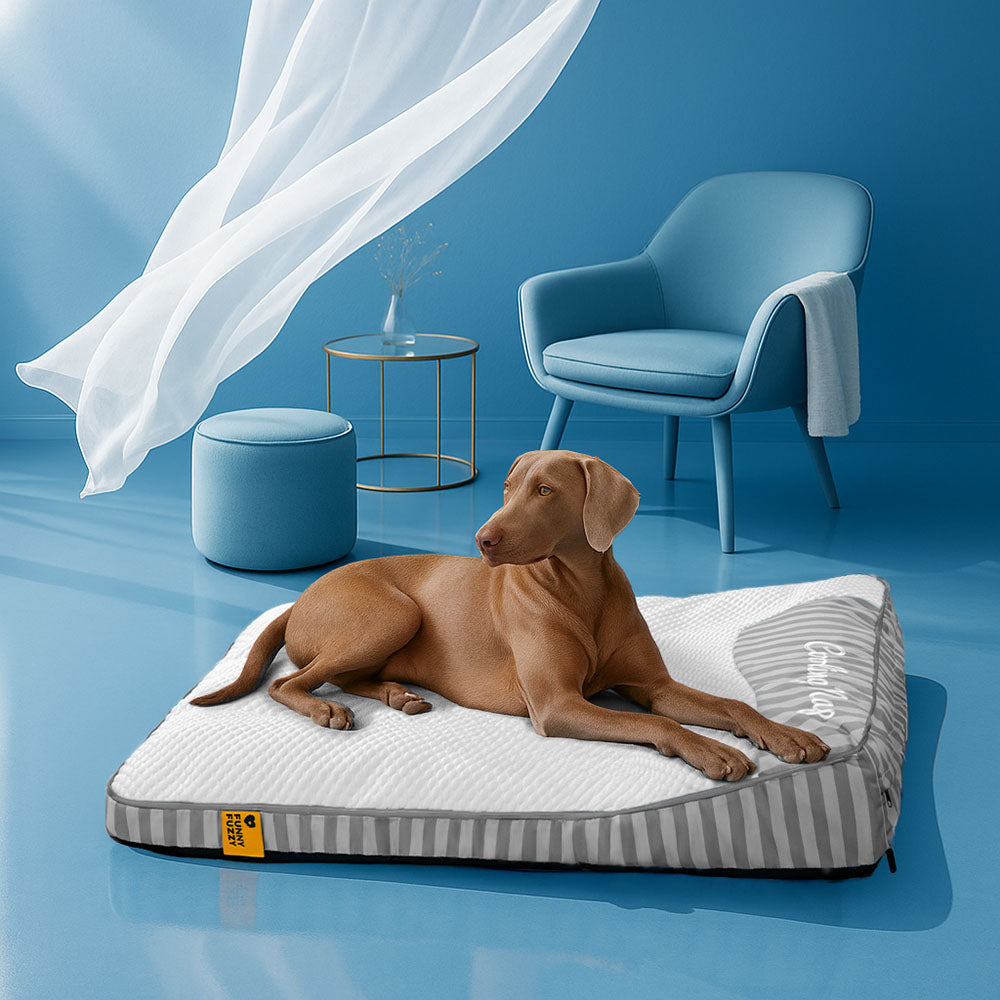 FUNNYFUZZY Orthopedic Dog Bed Blue Gel Memory Foam Washable Cover Large Size Pet Mattress — Image 14