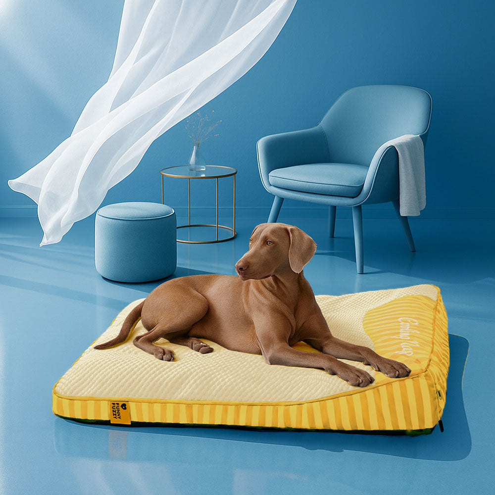FUNNYFUZZY Orthopedic Dog Bed Blue Gel Memory Foam Washable Cover Large Size Pet Mattress — Image 15