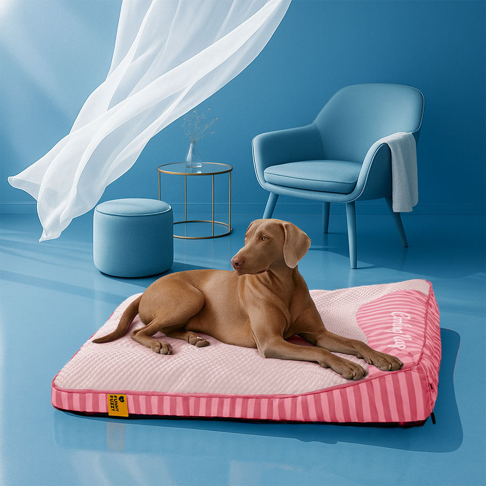 FUNNYFUZZY Orthopedic Dog Bed Blue Gel Memory Foam Washable Cover Large Size Pet Mattress — Image 13