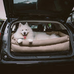 Funny Fuzzy Pet Car Seat Carrier Green Waterproof Anti-Scratch Travel Bed for Dogs Cats — Image 17