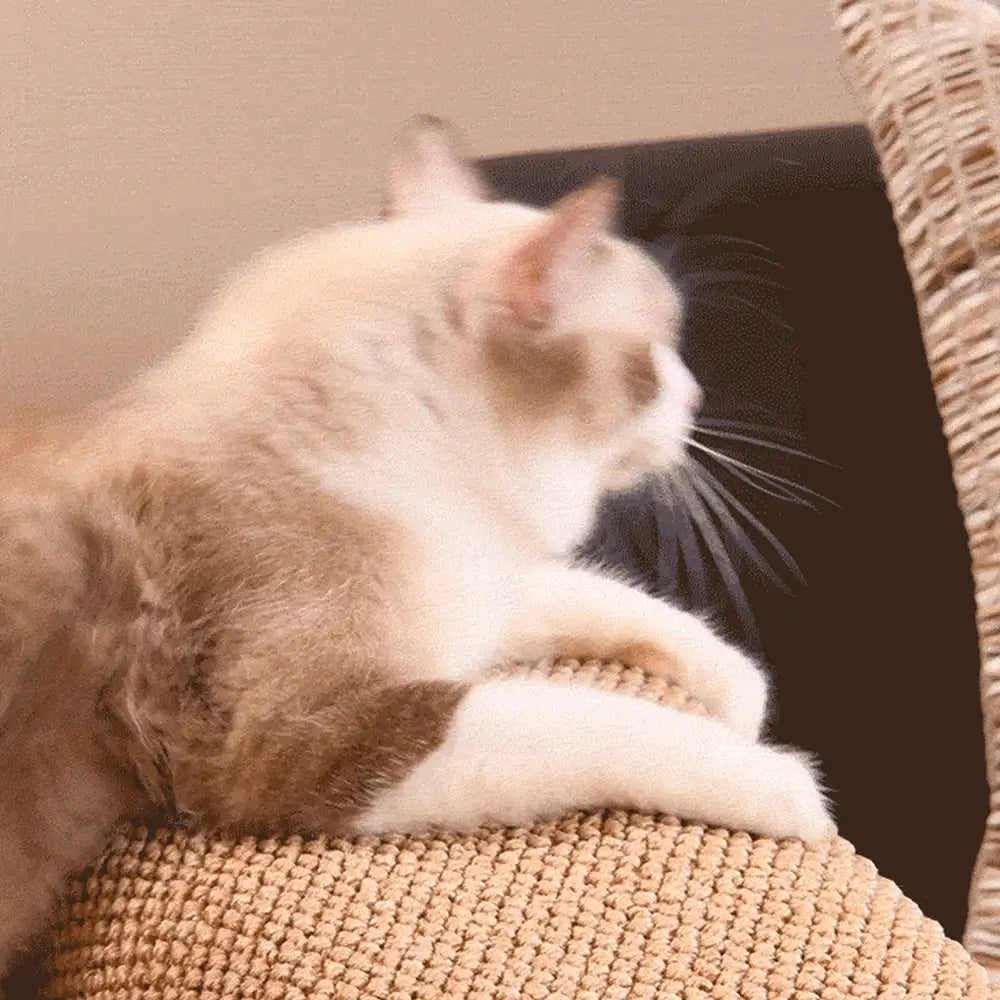 PetSafe Cat Furniture Protector Sisal-Like Scratch-Resistant Sofa Arm Cover Beige — Image 8