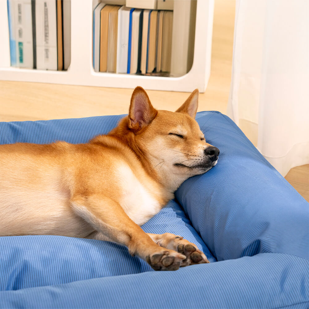 Funny Fuzzy Orthopedic Dog Bed Blue Waterproof Oxford Fabric Large — Image 10