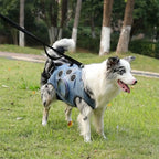 Pet Carrier Backpack Denim Fabric Breathable Mesh Safety Buckles — Image 2