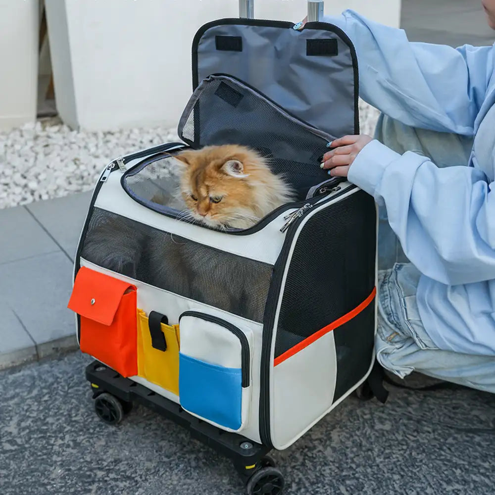 Pet Carrier Backpack with Wheels Convertible Travel Bag for Cats Dogs Breathable Mesh Multi-Pocket — Main Image