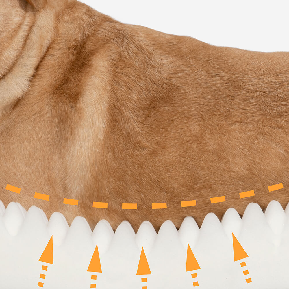 Funny Fuzzy Luxury Waterproof Pet Bed Soft Plush Cushion Anti-Slip Bottom — Image 9