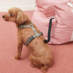 Funny Fuzzy Pet Car Seat Carrier Water-Resistant Travel Bed for Small Dogs Cats — Image 20