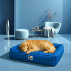 Funny Fuzzy Orthopedic Dog Bed Blue Waterproof Oxford Fabric Large — Image 13