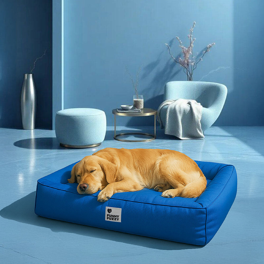 Funny Fuzzy Orthopedic Dog Bed Blue Waterproof Oxford Fabric Large — Image 13