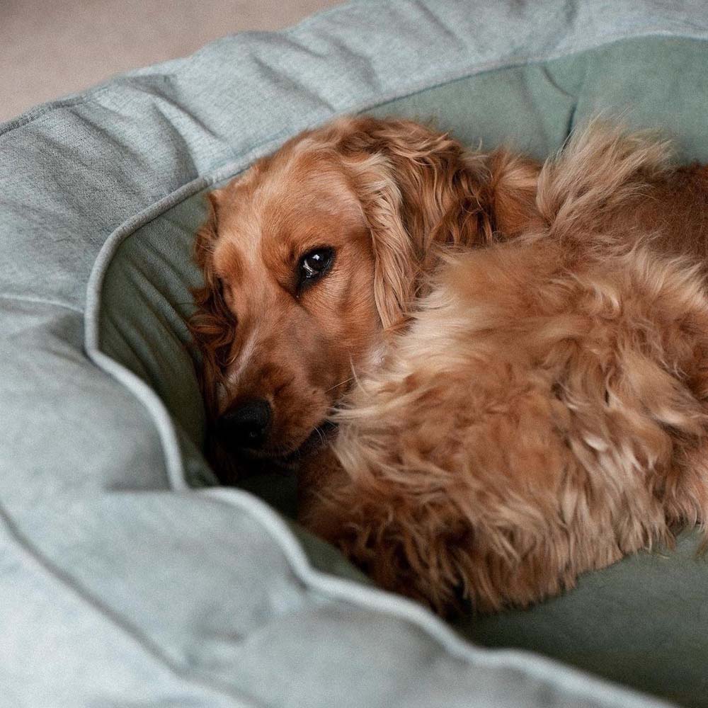 Funny Fuzzy Luxury Waterproof Pet Bed Soft Plush Cushion Anti-Slip Bottom — Image 20